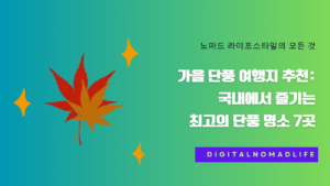 가을 단풍 여행지 추천: 국내에서 즐기는 최고의 단풍 명소 7곳