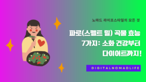 파로(스펠트 밀) 곡물 효능 7가지: 소화 건강부터 다이어트까지!
